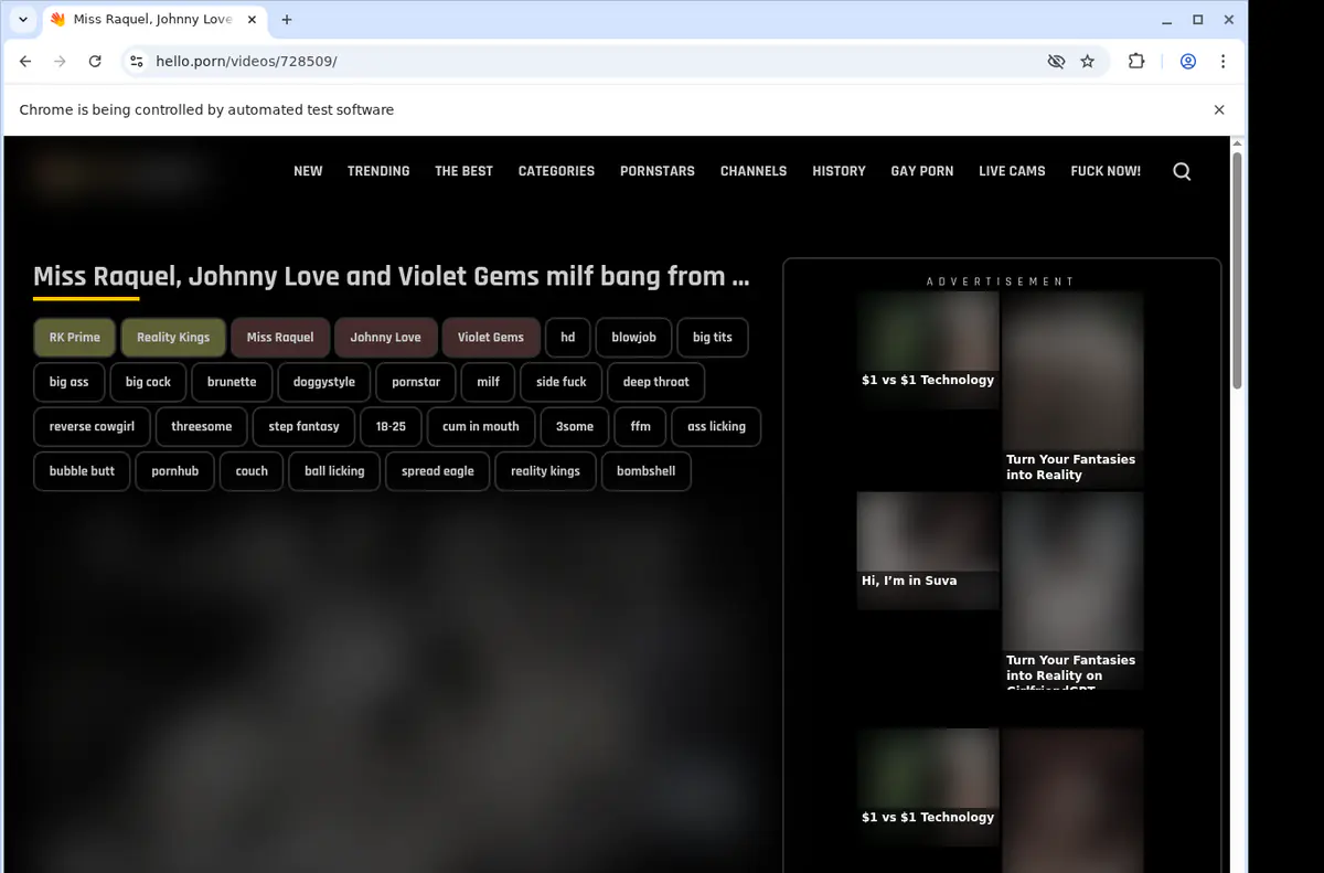Helloporn Video Downloader browser extension screenshot 2