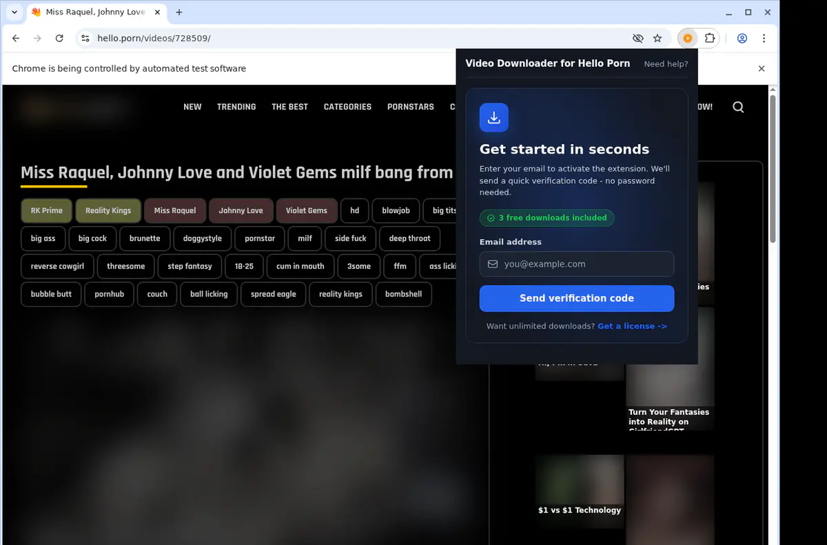 Helloporn Video Downloader browser extension screenshot 5